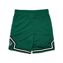 Load image into Gallery viewer, Trevi mesh shorts - Green
