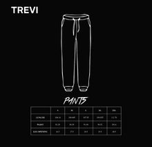 Load image into Gallery viewer, Trevi Track Pants - Black
